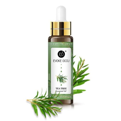 Rose Lavender Aromatherapy Essential Oil With Dropper 10ml Rose Lavender Aromatherapy Essential Oil With Dropper 10ml